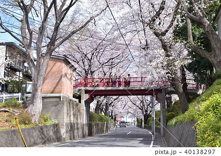 田園調布本町の桜坂と赤橋 田園調布本町の桜坂と赤橋 40138297