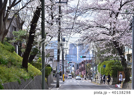 桜坂から見た武蔵小杉の高層ビル群 桜坂から見た武蔵小杉の高層ビル群 40138298