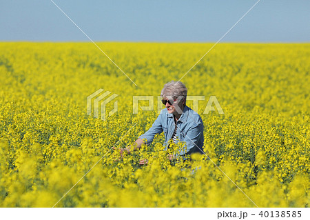 Female agronomist examining blossoming rapeseed field Female agronomist examining blossoming rapeseed field 40138585
