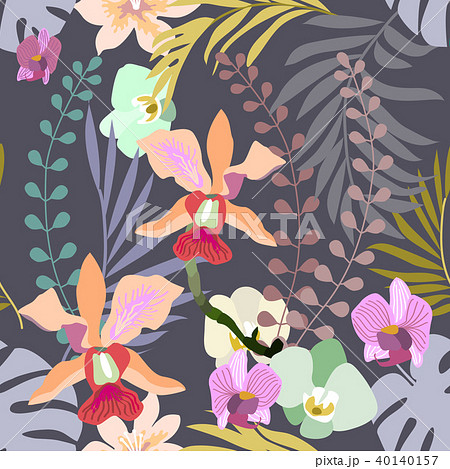 Royal orchids bloom. 40140157