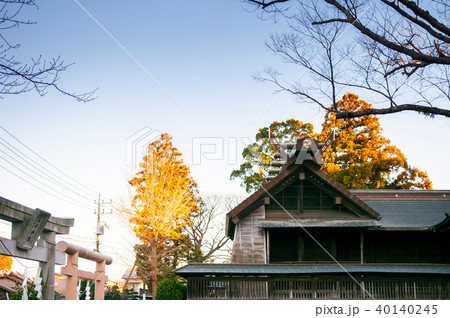 YASAKA Jinja Shrine in Sawara Katori, Chiba, JAPAN 40140245