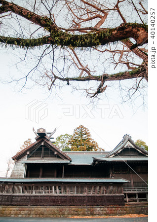 YASAKA Jinja Shrine Sawara, Katori, Chiba, JAPAN 40140257