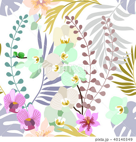 Royal orchids bloom. Royal orchids bloom. 40140349