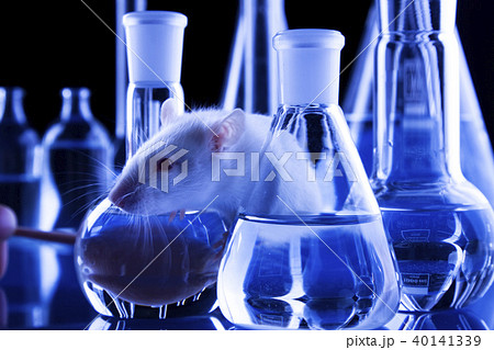 Test tubes in laboratory Test tubes in laboratory 40141339