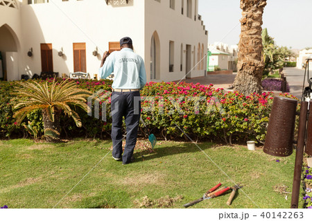 Man is cutting trees in the park  40142263