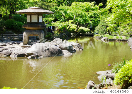 旧古河庭園の石灯篭と若葉と新緑 40143540