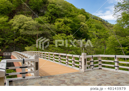 吾妻渓谷の猿橋 吾妻渓谷の猿橋 40143979