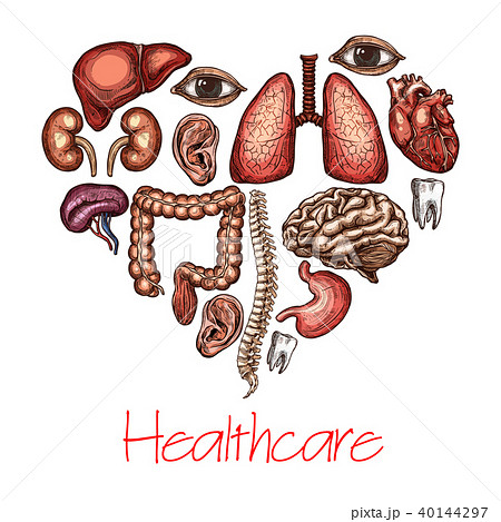 Heart health symbol composed of human organ sketch 40144297