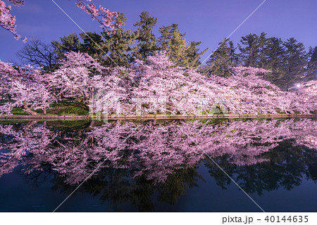 弘前公園の桜 西濠 リフレクション 弘前公園の桜 西濠 リフレクション 40144635