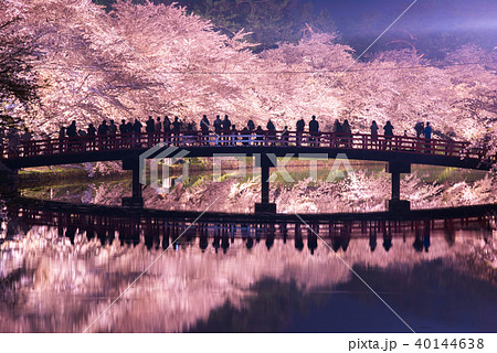 弘前公園の桜 西濠 春陽橋 リフレクション 40144638