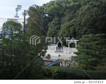 奈良　開化天皇陵 40145814