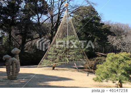 文京区六義園の風景 文京区六義園の風景 40147258