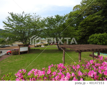 丹那断層(丹那断層公園) 丹那断層(丹那断層公園) 40147353