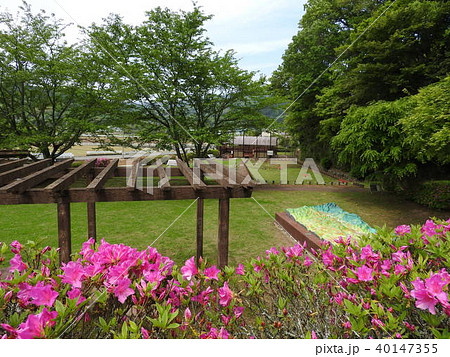 丹那断層(丹那断層公園) 丹那断層(丹那断層公園) 40147355