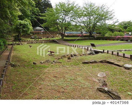 丹那断層(丹那断層公園) 丹那断層(丹那断層公園) 40147366