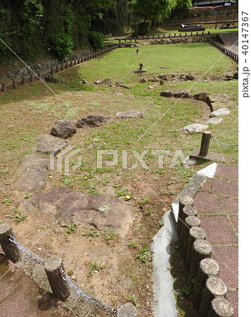 丹那断層(丹那断層公園) 丹那断層(丹那断層公園) 40147367