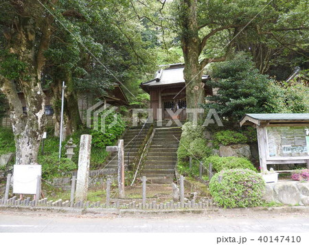 丹那断層(火雷神社) 丹那断層(火雷神社) 40147410