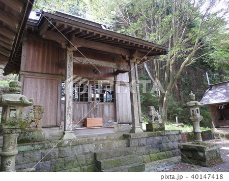 丹那断層(火雷神社) 丹那断層(火雷神社) 40147418