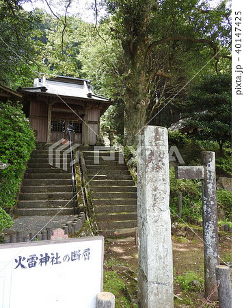 丹那断層(火雷神社) 丹那断層(火雷神社) 40147425