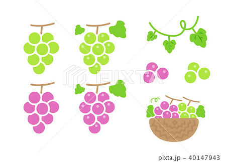 ぶどう ぶどう 40147943