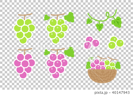 Grape Grape 40147943