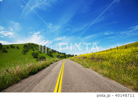 Road in the field Road in the field 40148711