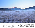 尾瀬　晩秋の湿原 40148783