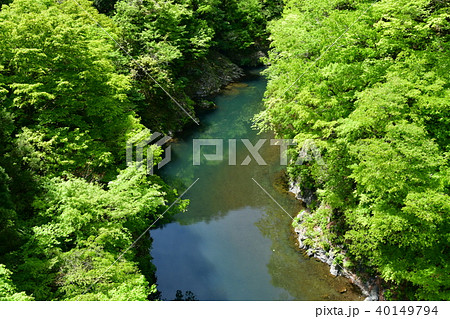 しだくら橋よりの渓谷の写真素材