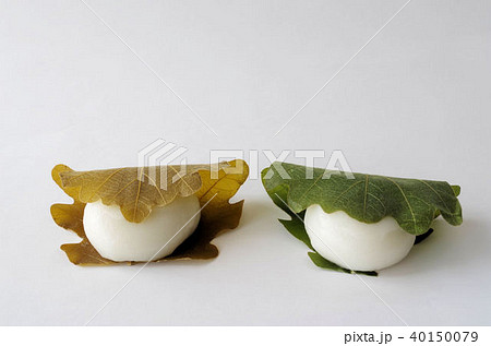 緑と茶色の葉のかしわ餅 40150079