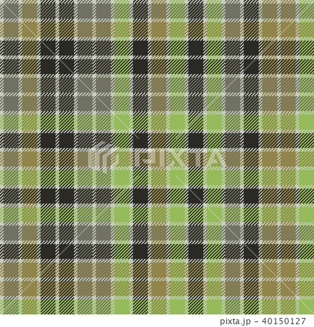 Green check plaid tartan seamless pattern 40150127