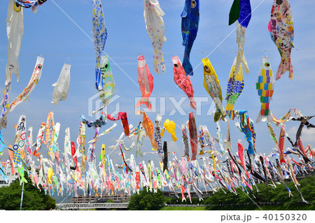 こいのぼり 40150320