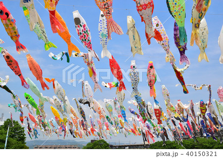 こいのぼり 40150321