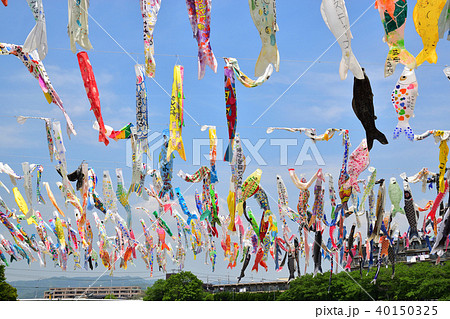 こいのぼり 40150325