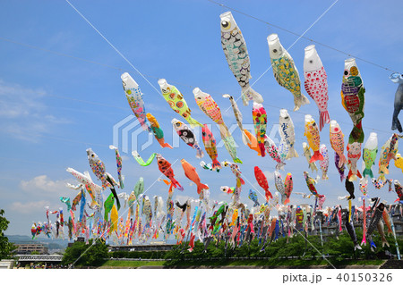 こいのぼり 40150326