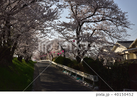 久米田池 久米田池 40150452