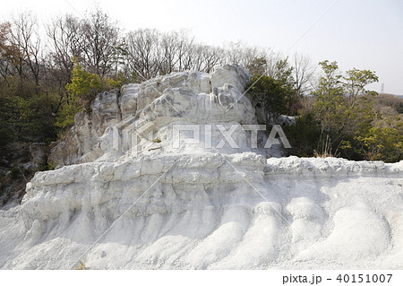 屯鶴峯 屯鶴峯 40151007