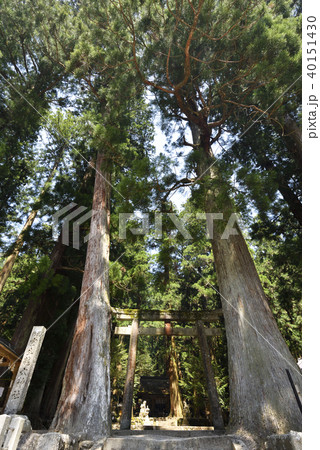 室生龍穴神社（奈良県宇陀市） 40151430