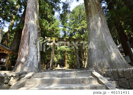 室生龍穴神社（奈良県宇陀市） 40151431