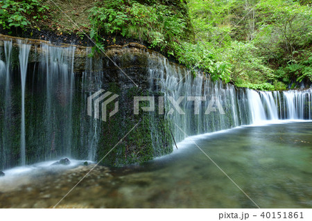 白糸の滝 白糸の滝 40151861