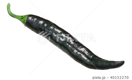 Pasilla chilaca chile pepper Pasilla chilaca chile pepper 40152270