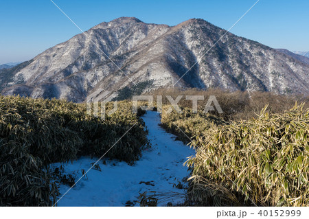 雪山に続く山道 二百名山毛無山 雪山に続く山道 二百名山毛無山 40152999