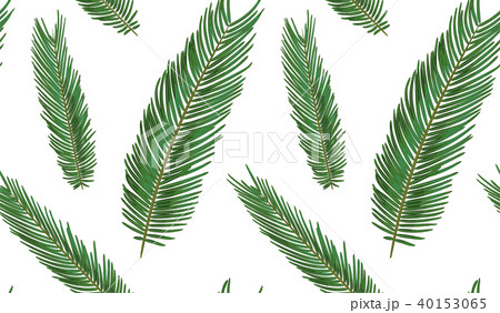 Seamless pattern with sago palm tropical seeded 40153065