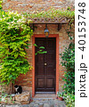 Entrance to the old Italian house and the cat  40153748