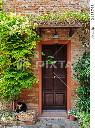 Entrance to the old Italian house and the cat Entrance to the old Italian house and the cat 40153748