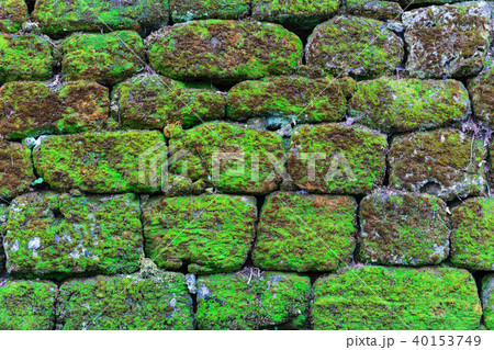 Old stone wall overgrown with moss Old stone wall overgrown with moss 40153749