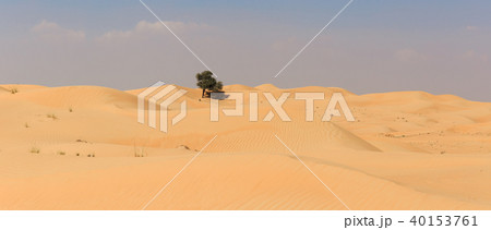 Arabian desert 40153761