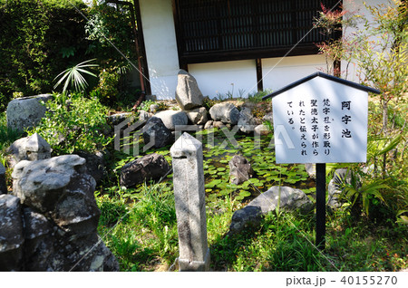 橘寺 橘寺 40155270