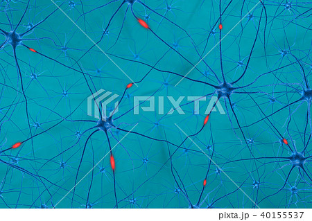 Brain cell. 3D render 40155537