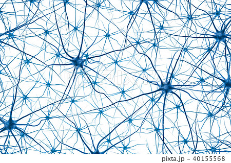 Brain cell. 3D render 40155568