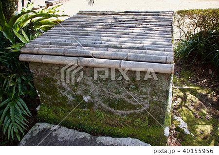 古井戸 古井戸 40155956